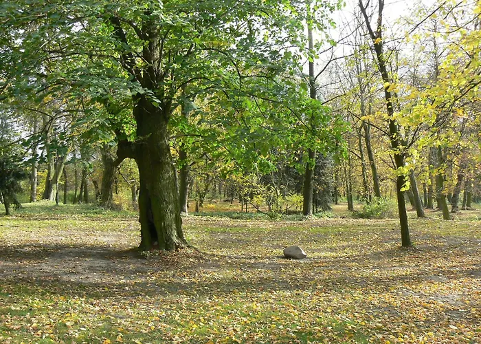 Biały Pałac Nocleg ze śniadaniem